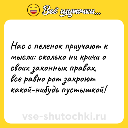 Шутка: Нас с пеленок приучают к мысли: сколько ни кричи о своих законных правах, все равно рот закроют какой-нибудь пустышкой!