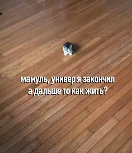 Смешная картинка №713530
