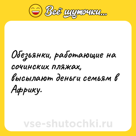 Шутка: Обезьянки, работающие на сочинских пляжах, высылают деньги семьям в Африку.