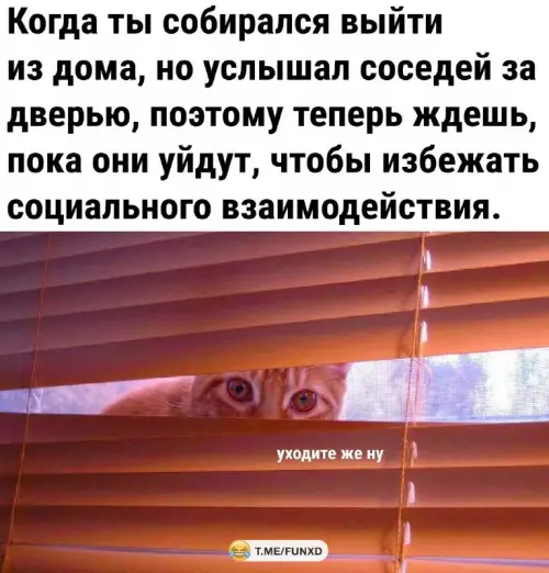 Смешная картинка №663110
