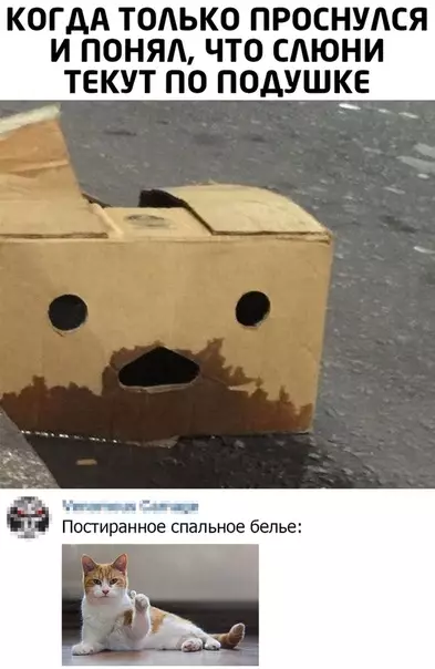 Смешная картинка №508598