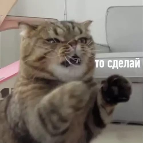 Смешная картинка №517844 Коротко о взрослой жизни: