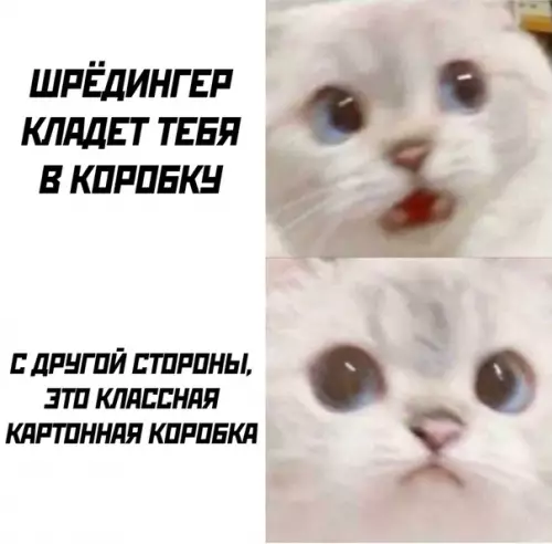 Смешная картинка №510815