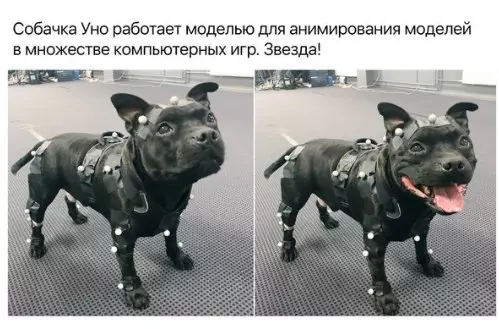 Смешная картинка №275789