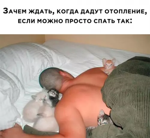 Смешная картинка №661575