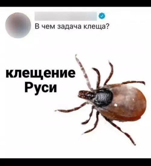 Клещевые игры начались! 🕷️ - В чем задача клеща? клещение Руси