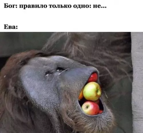 Смешная картинка №702468