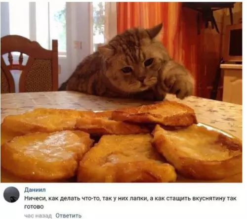 Смешная картинка №241394