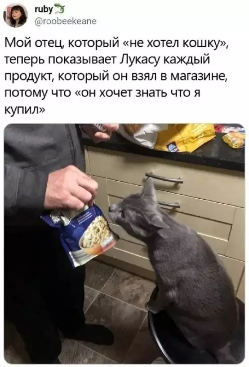 Смешная картинка №697251