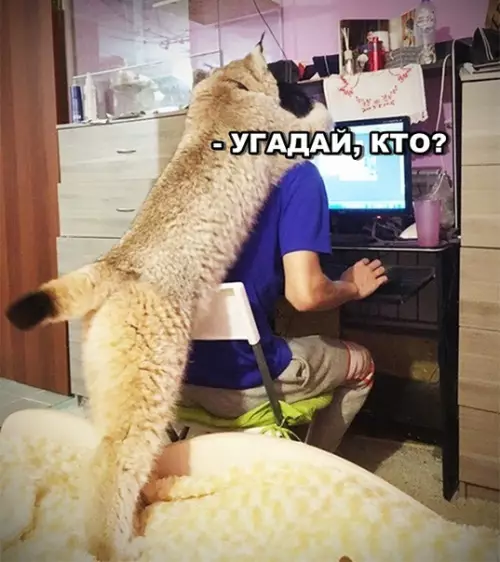 Смешная картинка №292318 животные