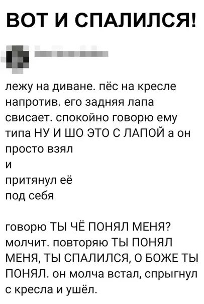 Смешная картинка №345358