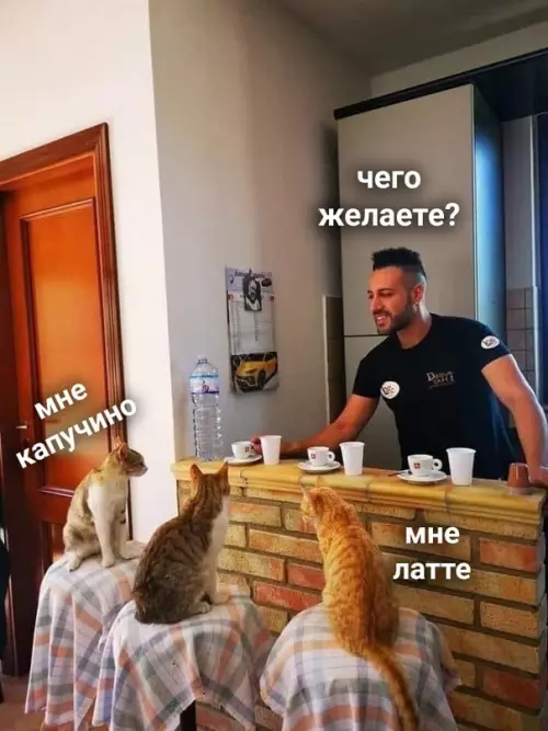 Смешная картинка №599308 Заходят как-то в бар три кота, а бармен им такой: Коты