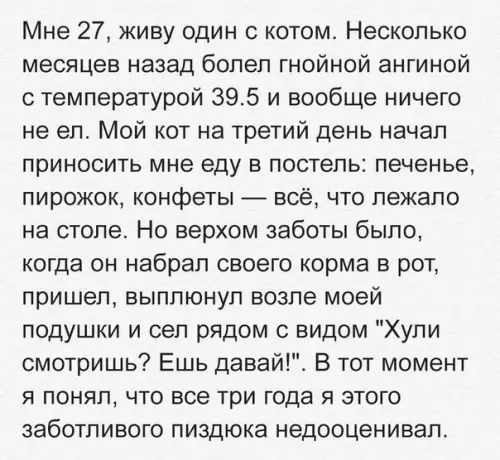 Смешная картинка №246928