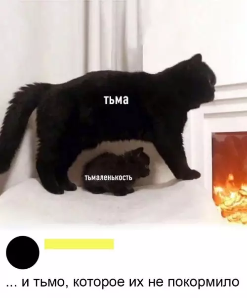 Смешная картинка №646914