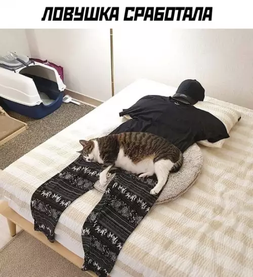 Смешная картинка №507046