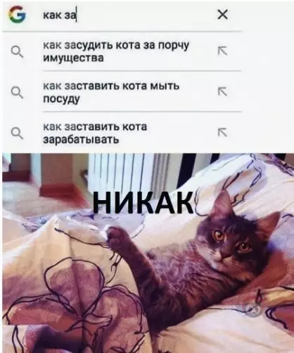 Смешная картинка №502571 А то кормишь-кормишь его, а толку ноль! Коты