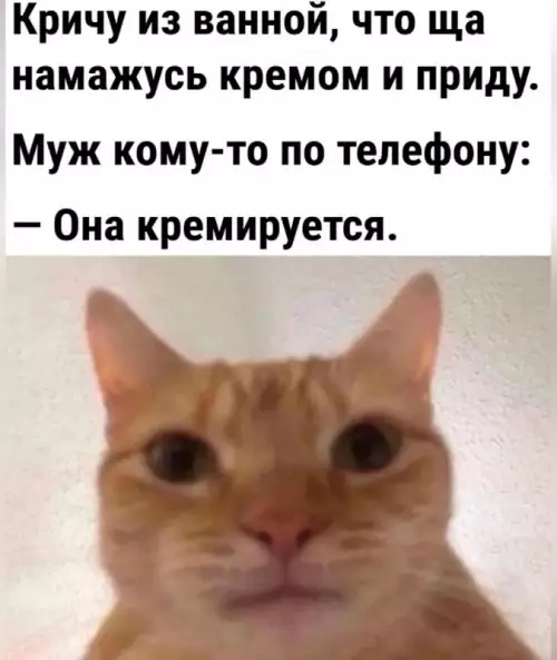 Когда муж слишком буквально тебя понял 😂 - Кричу из ванной, что ща намажусь кремом и приду. Муж
