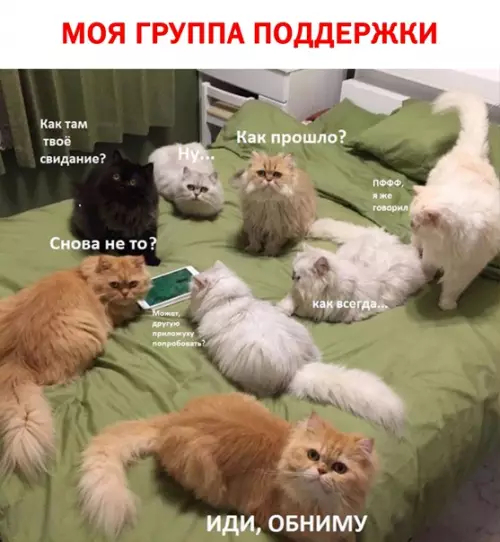 Смешная картинка №561430 Лyчшиe aнтидeпpeccaнты.