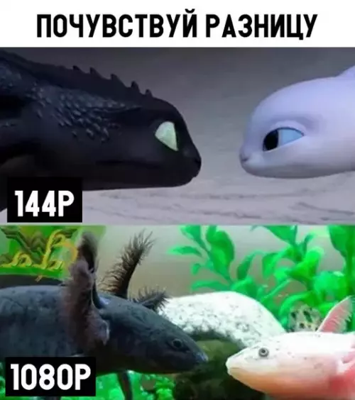 Смешная картинка №307711