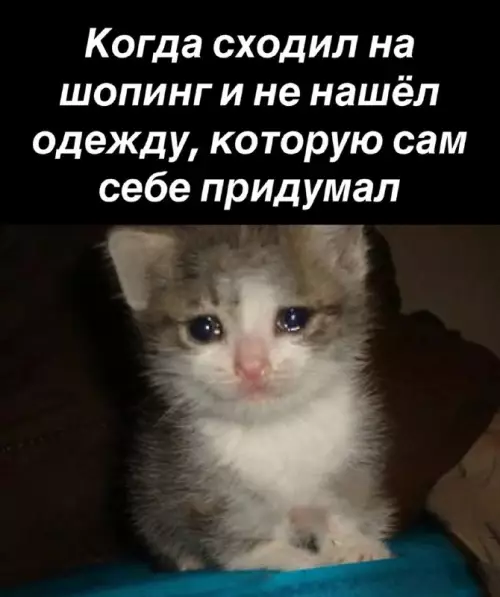 Смешная картинка №729358 Так всегда с покупками