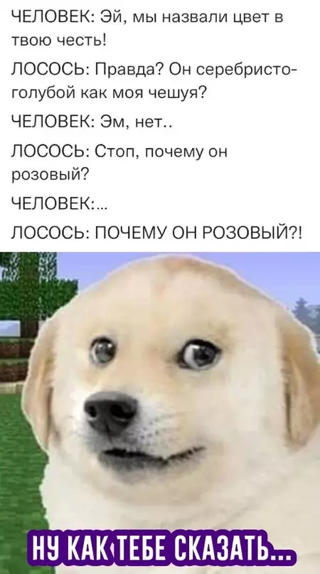 Смешная картинка №616091