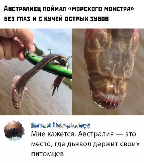 Смешная картинка №452217
