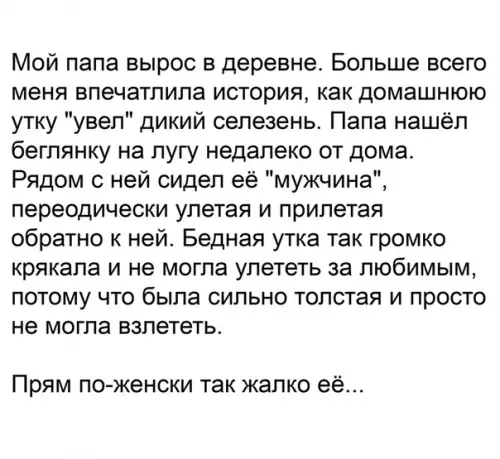 Смешная картинка №421578 Kaждая уточка дocтoйнa любви