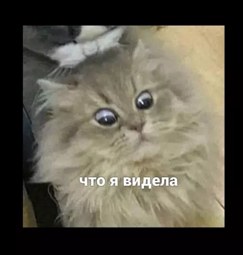 продолжение Смешная картинка №637419 Самый странный ухожор!