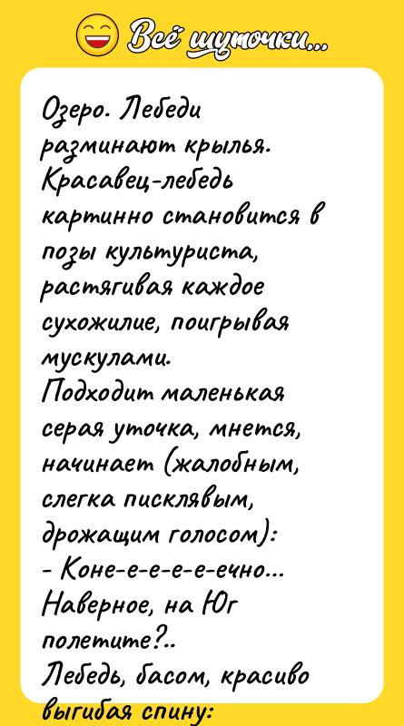 Озеро. Лебеди разминают крылья. Красавец-лебедь картинно становится в позы культуриста,