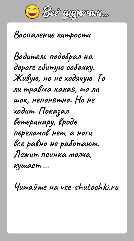 История: Воспаление хитростиВодитель подобрал на дороге сбитую собачку. Живую, но не ходячую. То ли травма какая, то ли шок, непонятно. Но