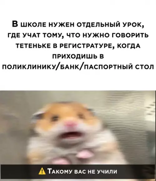 Смешная картинка №514636