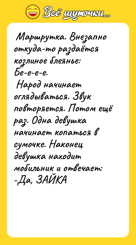 Маршрутка. Внезапно откуда-то раздаётся козлиное блеянье: Бе-е-е-е.