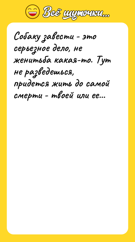 Собаку завести - это серьезное дело, не женитьба какая-то. Тут