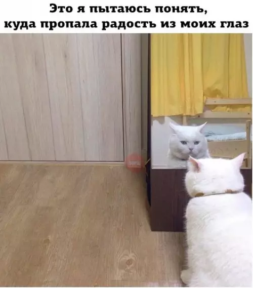 Смешная картинка №238417