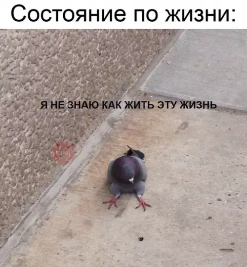 Смешная картинка №256441