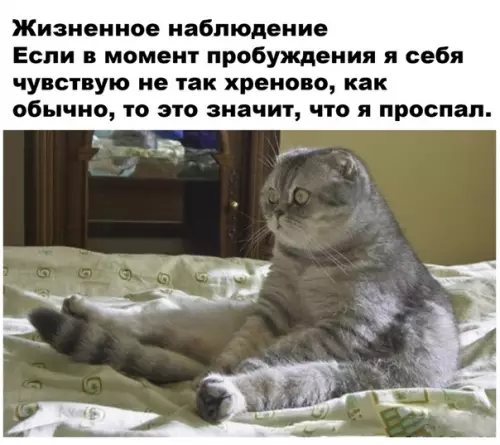 Смешная картинка №501588 Первые, полные ужаса, мгновения осознания