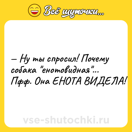 Шутка: — Ну ты спросил! Почему собака "енотовидная"... Пфф. Она ЕНОТА ВИДЕЛА!