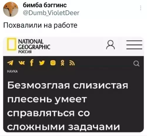 Смешная картинка №768231