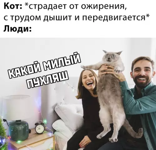 Смешная картинка №467387