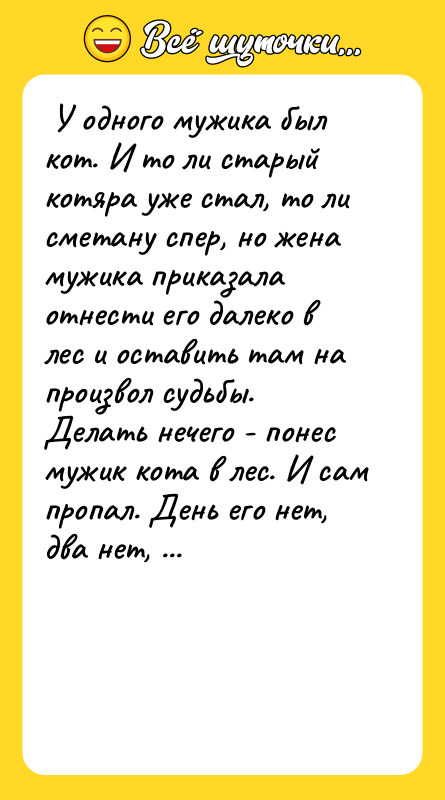 У одного мужика был кот. И то ли старый