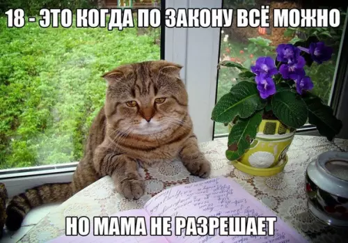 Смешная картинка №424283