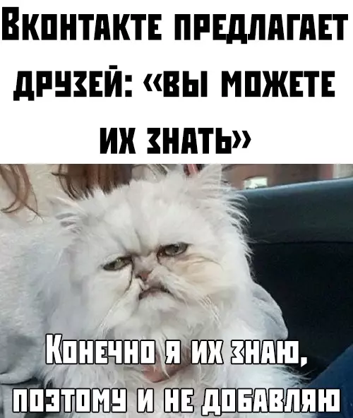 Смешная картинка №379497