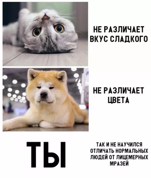 Смешная картинка №304733