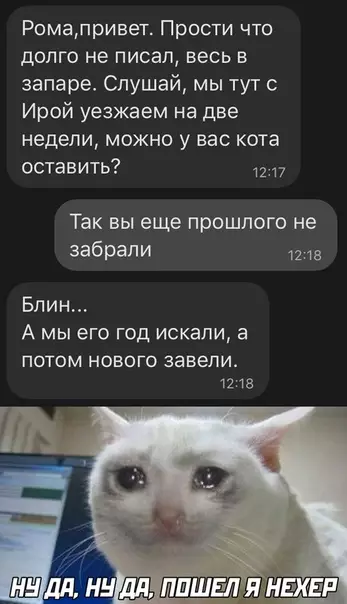 Смешная картинка №517944