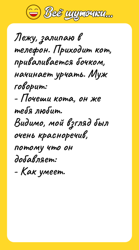 Лежу, залипаю в телефон. Приходит кот, приваливается бочком, начинает урчать.