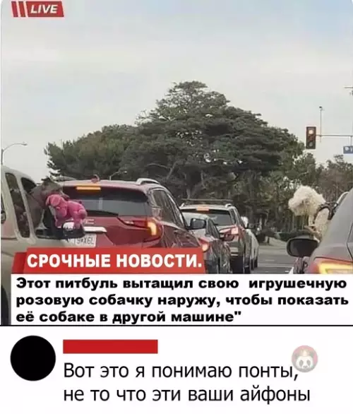 Смешная картинка №565687 Новости, которых нам не хватает