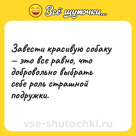 Шутка: Завести красивую собаку — это все равно, что добровольно выбрать себе роль страшной подружки.