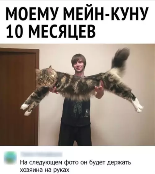 Смешная картинка №651205 Вот это скотинка конечно …
