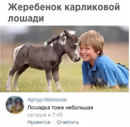 Смешная картинка №222901