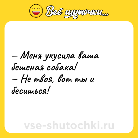 Шутка: — Меня укусила ваша бешеная собака! <br>— Не твоя, вот ты и бесишься!